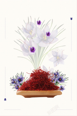 养生茶广告藏红花中草药养生补血海报背景素材高清图片