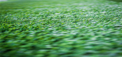 绿色草地质感E绿色草地草坪背景高清图片