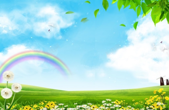草原上各色花朵盛开的彩虹背景