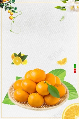 小清新新鲜蜜桔水果背景