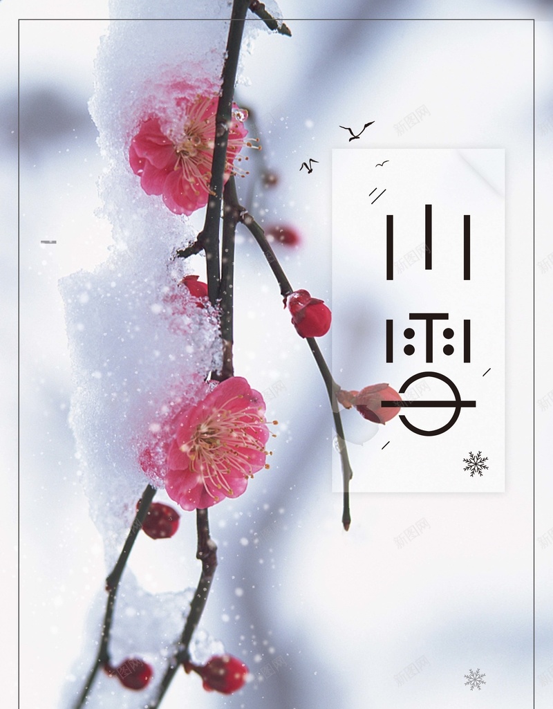 简约清新二十四节气小雪唯美节日海报psd设计背景_88icon https://88icon.com 二十四 小雪 清新 简约 节气 唯美 节日 梅花 海报