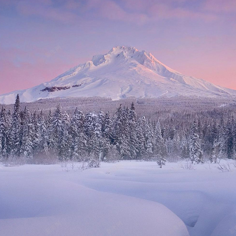 冰山雪地丛林背景jpg设计背景_88icon https://88icon.com 雪地背景 雪地 冰山 丛林 主图 摄影 风景