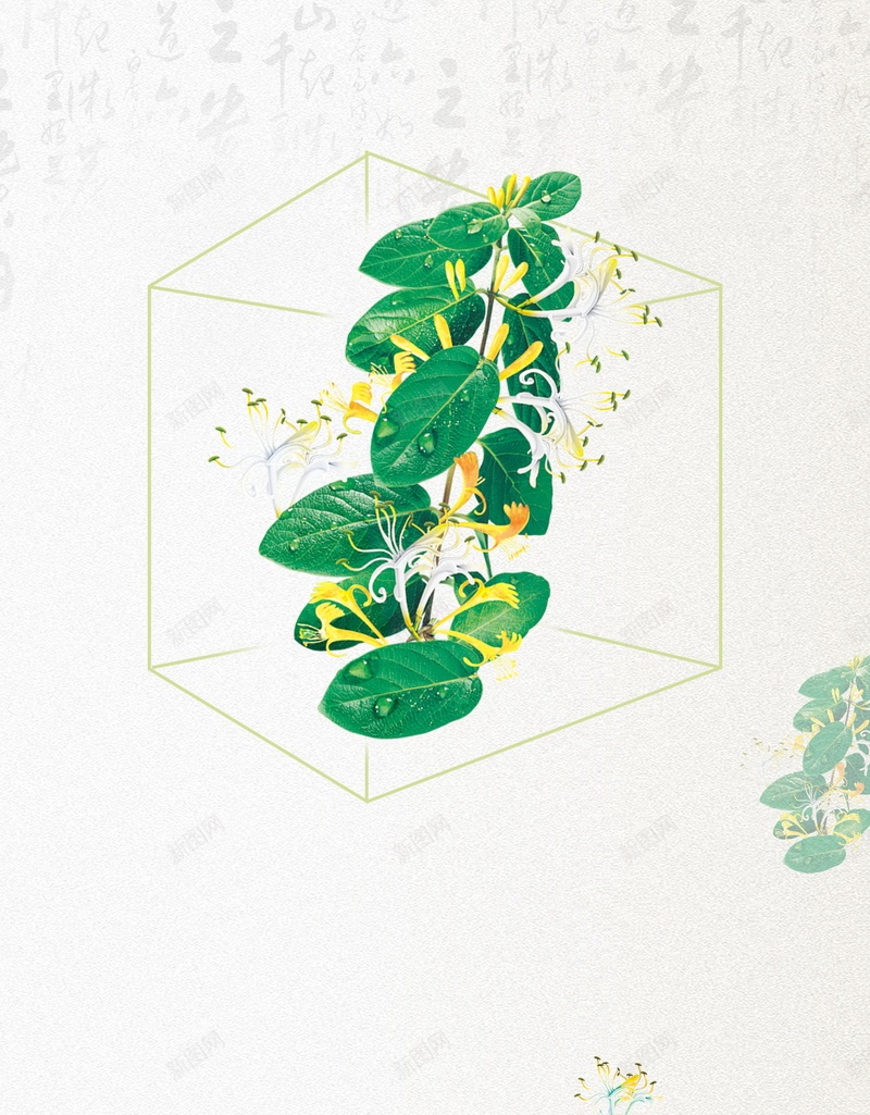 清新金银花药材花茶psd设计背景_88icon https://88icon.com 金银花茶叶 中药养生 金银花茶 金银花 草药 金银花种植 金银花泡茶 野生金银花 平面设计 分层文件 PSD源文件 150PPI