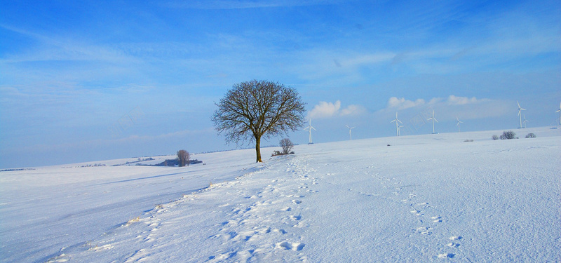 蓝色的冬天jpg设计背景_88icon https://88icon.com 雪 冬天 冰 冷 白 蓝色 天空 步行 小食 树 痕迹 圣诞节 海报banner 摄影 风景