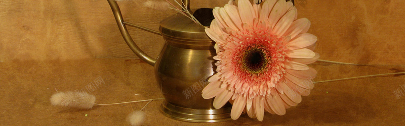瓷器艺术花卉摄影图片背景