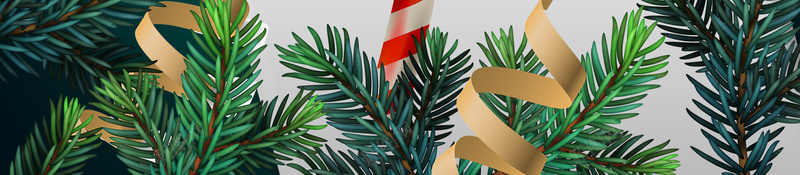 圣诞狂欢滑雪季背景海报psd设计背景_88icon https://88icon.com 圣诞狂欢 滑雪海报 滑雪背景 绿色背景 背景海报 圣诞老人 圣诞节快乐 浪漫 梦幻