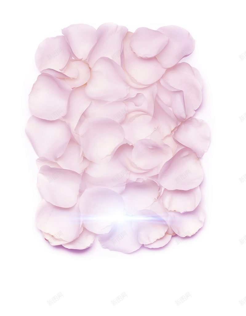 美容化妆品背景素材图jpg设计背景_88icon https://88icon.com 梦幻浪漫 海报背景 玫瑰 粉色 光 粉玫瑰海报背景 化妆品素材 美容背景 美容化妆品