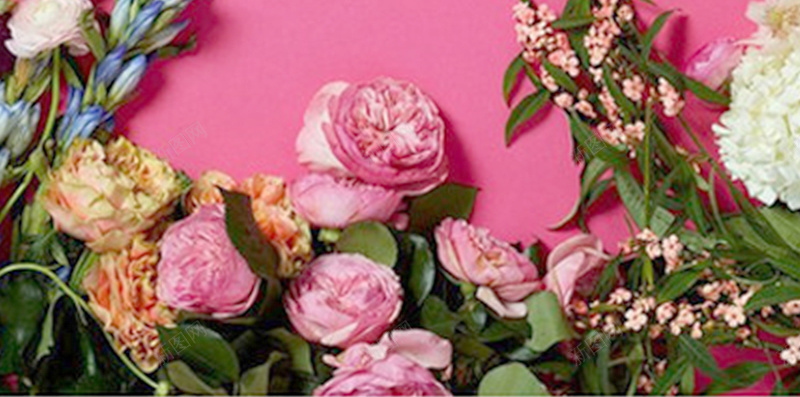 欧式婚礼玫红色庆典婚庆手绘鲜花请帖请柬海报背景jpg设计背景_88icon https://88icon.com 玫红色 婚庆 婚礼 庆典 手绘 鲜花 请柬 海报 背景 婚庆请柬 欧式海报 欧式婚礼 开心