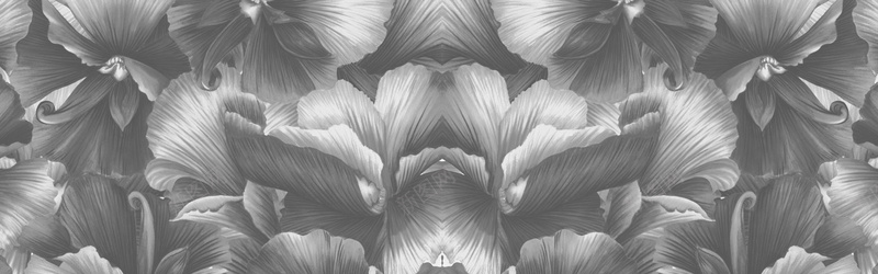 黑白质感花朵海报背景背景