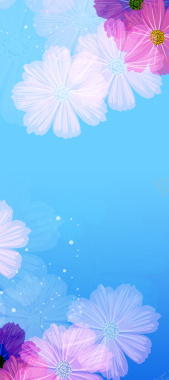大气花朵时尚易拉宝展架背景素材背景