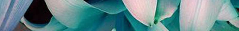 美术展海报背景素材psd设计背景_88icon https://88icon.com 展会 展览 海报 艺术 花朵 美术展海报图片下载 秩序的边界 渐变