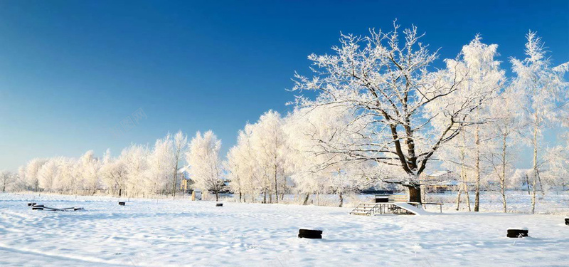 冬季雪景jpg设计背景_88icon https://88icon.com 天空 蓝天 冬天 冬季 雪路 被雪覆盖的树林 唯美 风景 海报banner 摄影