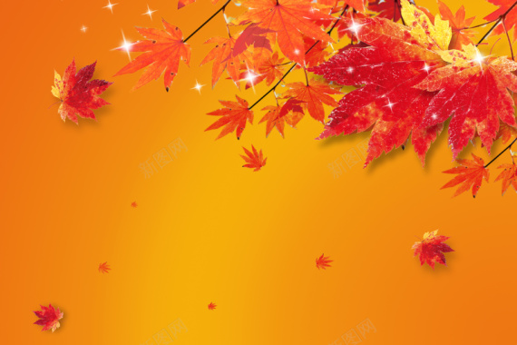 秋天收获的季节海报背景素材背景