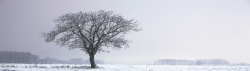 季节性秋冬季节雪景banner海报高清图片