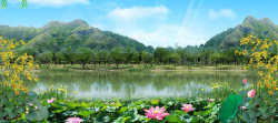 荷花青山绿水风景背景高清图片