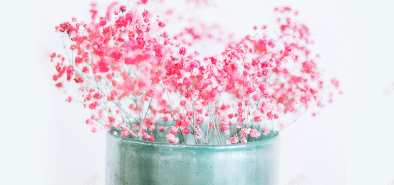 日系清新文艺淡色花朵背景jpg设计背景_88icon https://88icon.com 日系 清新 文艺 淡色 花朵 花束 花草 花瓶 满天星 质感 淘宝背景 海报banner 摄影 风景