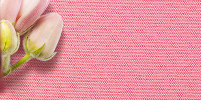 纹理H5背景素材jpg设计背景_88icon https://88icon.com 粉色 纹理 红心 花朵 质感 H5