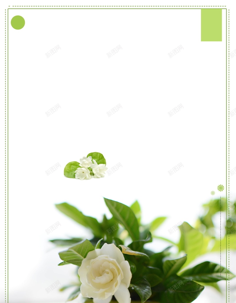 简约栀子花开背景模板psd设计背景_88icon https://88icon.com 栀子花开 花开季节 小清新 栀子花 清新 清爽 温馨 花卉 花朵 分层文件 PSD源文件 高清背景 PSD素材 背景海报 背景素材 背景模板