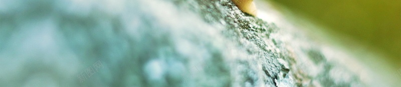 初心不改简约企业文化psd设计背景_88icon https://88icon.com 企业文化 初心不改 努力 坚持 拼搏 初心不变 坚持就是胜利 保持初心 蜗牛 爬行 励志 一步一步 平面设计 分层文件 源文件 高清