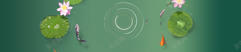 夏季荷花荷韵促销海报背景素材jpg设计背景_88icon https://88icon.com 荷花 荷叶 手绘荷花 荷花插画 莲花 荷 夏日荷花 初夏 夏至 荷塘月色 荷塘 立夏 节气 夏季