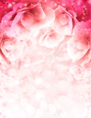粉红色玫瑰海报背景背景