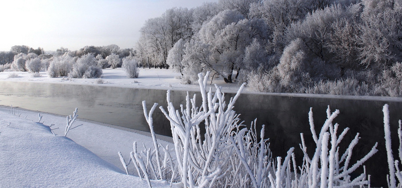 冬天雪树海报素材jpg设计背景_88icon https://88icon.com 淘宝海报 天猫海报 海报素材 男装 女装 活动背景 冬天 雪树 海报banner 摄影 风景