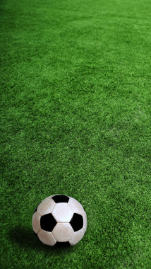 绿色草地上的足球图案背景图背景