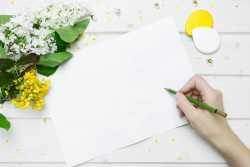 清新白纸清新春季花卉平面广告高清图片