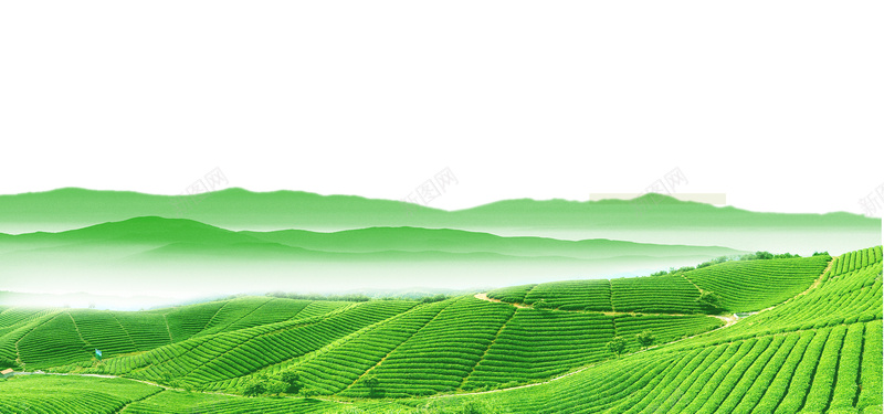 梯田背景背景