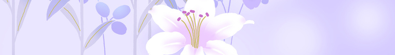 紫色优雅花朵背景素材jpg设计背景_88icon https://88icon.com 优雅 唯美 植物 紫色 花朵 小花 清新 浪漫 婚庆 海报 广告 背景