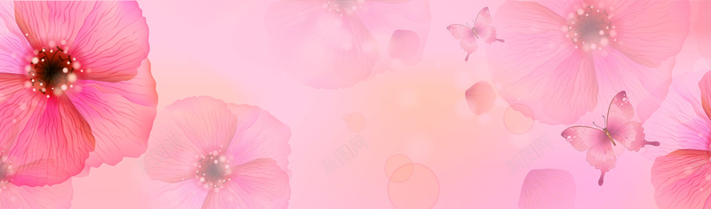 粉色花朵浪漫背景背景