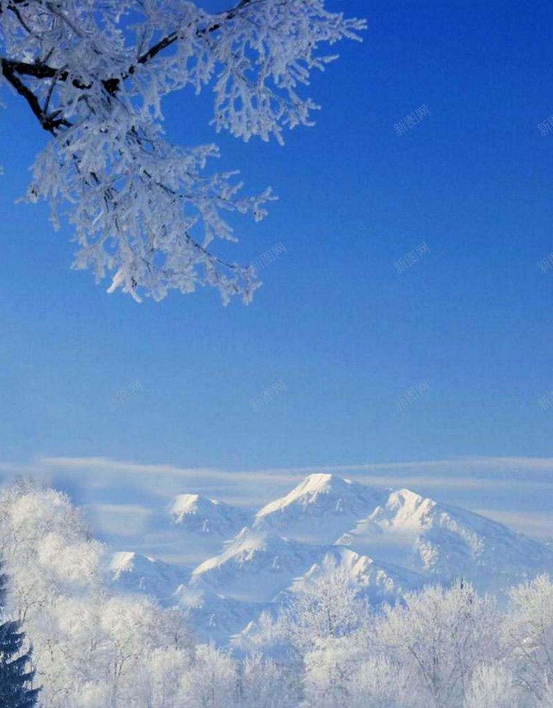 冬季的雪超清H5背景jpg设计背景_88icon https://88icon.com 天空 白色 雪山 树木 雪地 H5 h5 摄影 风景