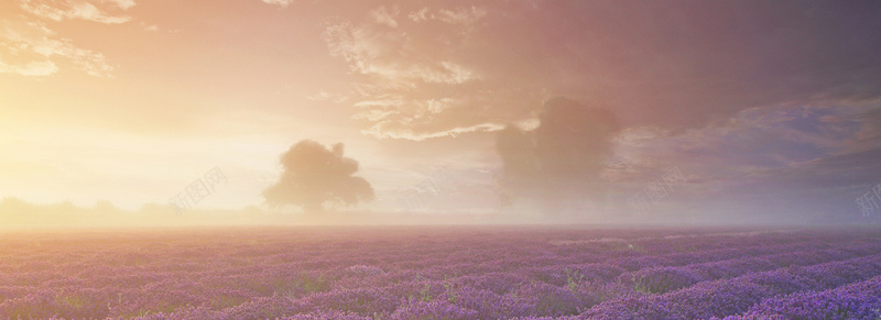 紫色田园背景背景