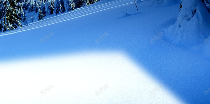 圣诞快乐H5背景psd设计背景_88icon https://88icon.com 圣诞快乐 圣诞节 圣诞背景图片 圣诞背景素材 雪地 森林 夜空 梦幻 浪漫