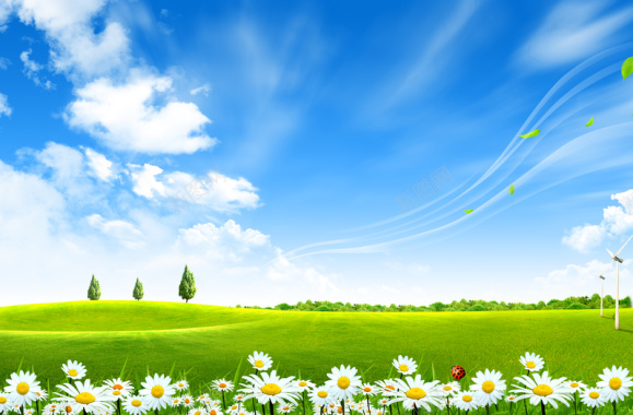 蓝天白云草地鲜花自然背景素材背景