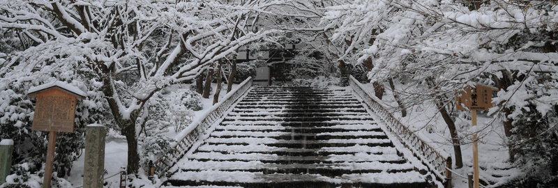 唯美雪场冬季阶梯树枝背景背景