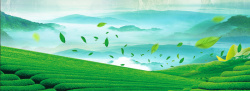 春季上新蝴蝶清新字体春茶广告背景Banner高清图片
