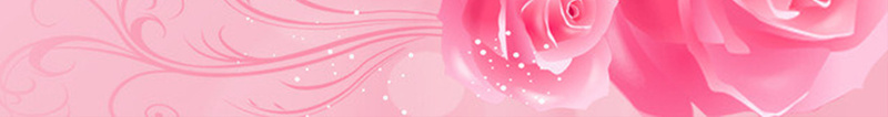粉色海报背景素材jpg设计背景_88icon https://88icon.com 粉色玫瑰 粉色背景 粉色花 植物 粉色 粉色素材 少女心