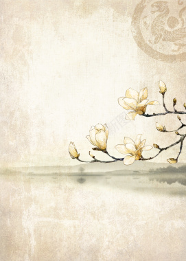 中国风浅色花朵背景背景