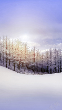 雪地上的树林H5背景背景