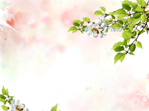 清新粉色花朵婚纱海报背景模板背景