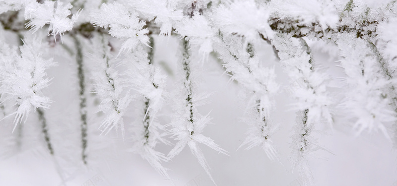 冰雪背景jpg设计背景_88icon https://88icon.com 冰雪 雪花 圣诞节 寒冷 冬天 唯美 海报banner 摄影 风景