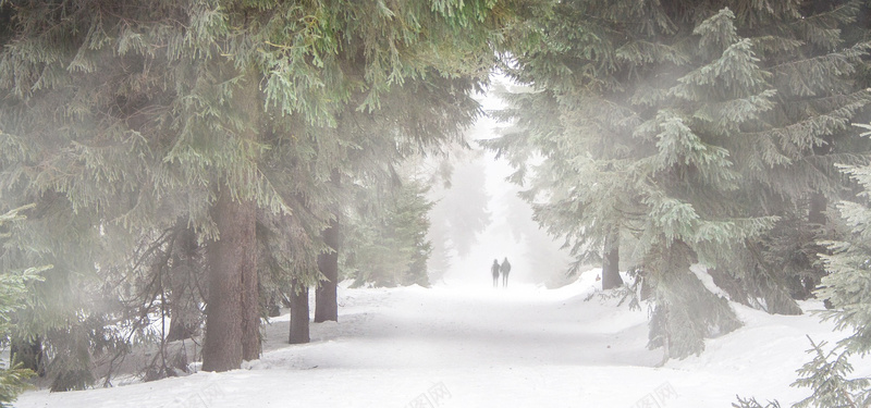 徒步旅行jpg设计背景_88icon https://88icon.com 森林 人类 雾 冬天 徒步旅行 雪 冷 离 海报banner 摄影 风景