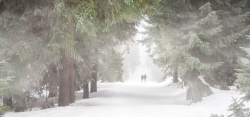 雪雾徒步旅行高清图片