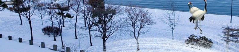 北海道蓝色简约冬季出游宣传背景psd设计背景_88icon https://88icon.com 冬季出游 旅行宣传 蓝色背景 北海道 简约 旅游 简约背景 日本景点 宣传背景