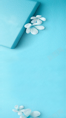 粉蓝小清新质感花朵H5背景