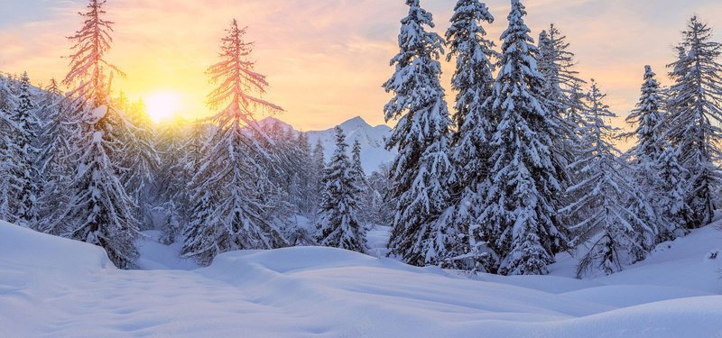 雪山松树背景图jpg设计背景_88icon https://88icon.com 雪山 松树 雪 阳光 冬季 风景 海报banner 摄影