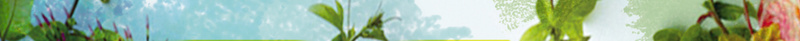 清新文艺海报背景图psd设计背景_88icon https://88icon.com 个性 活力 海报 独特 花朵 季节 绿色 写真 文艺 小清新 简约