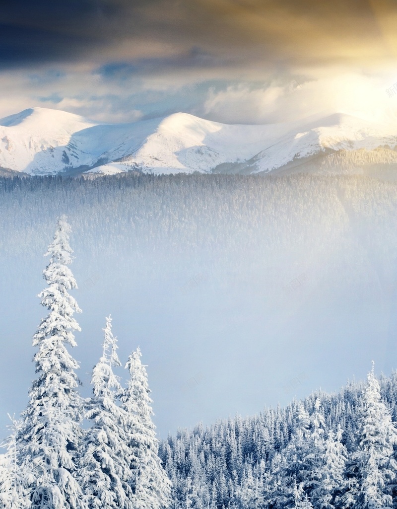 冬季雪景高清H5背景jpg设计背景_88icon https://88icon.com 雪景 雪山 树林 雪地 天空 H5 h5 摄影 风景