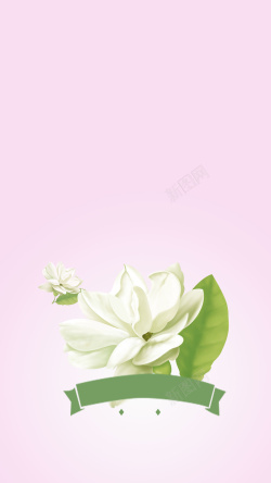 唯美茉莉花粉色简约清新茉莉花鲜花店H5素材高清图片